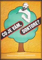 Anna Ferencov&aacute; / Co je v&aacute;m, doktore?