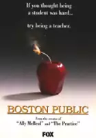 plakat serialu Boston Public