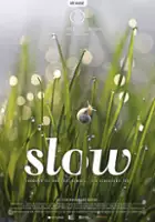 plakat filmu Śpiesz się powoli