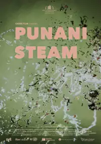 Plakat filmu Punani Steam