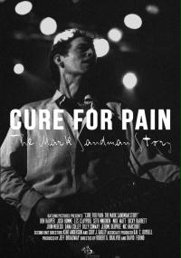 Cure for Pain. Historia Marka Sandmana