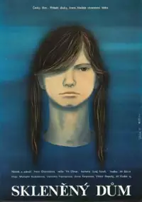 Plakat filmu Skleněný dům