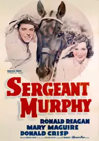 Plakat filmu Sierżant Murphy