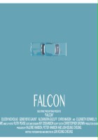 plakat filmu Falcon