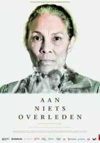 Plakat filmu Aan niets overleden