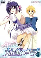 Koichiro Kameyama / Ginban Kaleidoscope