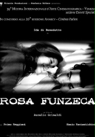 plakat filmu Rosa Funzeca