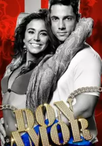Plakat serialu Don Amor