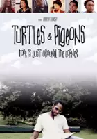 plakat filmu Turtles & Pigeons