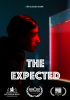plakat filmu The Expected