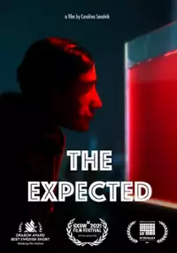 Plakat filmu The Expected