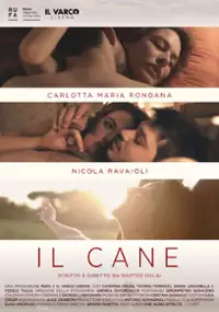 Plakat filmu Il cane