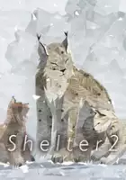 plakat filmu Shelter 2