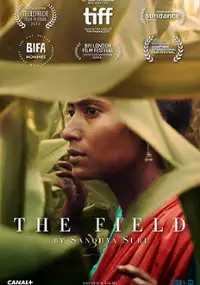 Plakat filmu The Field