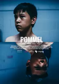 Plakat filmu Pommel