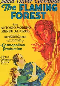 Plakat filmu The Flaming Forest