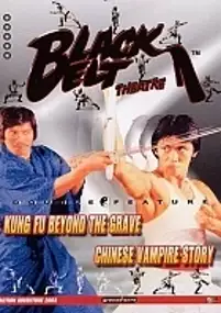 Plakat filmu Yin ji