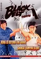 plakat filmu Yin ji