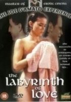 plakat filmu The Labyrinth of Love