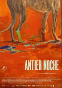 Plakat filmu Antier noche