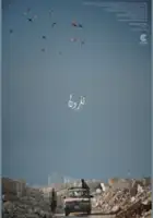 Arezou Rezaei / Nafron