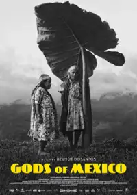 Plakat filmu Bogowie Meksyku