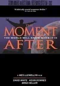 Plakat filmu The Moment After