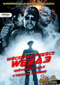 Plakat filmu Wściekłe pięści Węża 3