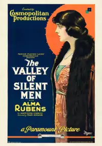 Plakat filmu The Valley of Silent Men
