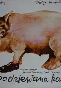 Plakat filmu Niespodziewana kariera 