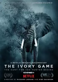 Plakat filmu Gra o "białe złoto"