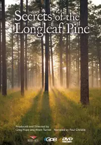Plakat filmu Secrets of the Longleaf Pine