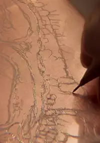 Plakat filmu Voir ce que devient l'ombre