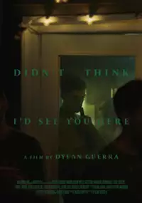 Plakat filmu Didn't Think I'd See You Here