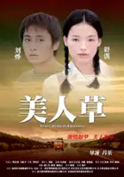 Mengnan Li / Mei ren cao