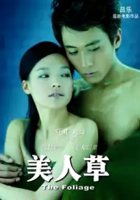 Plakat filmu Mei ren cao