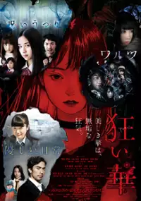 Plakat filmu Kuruibana