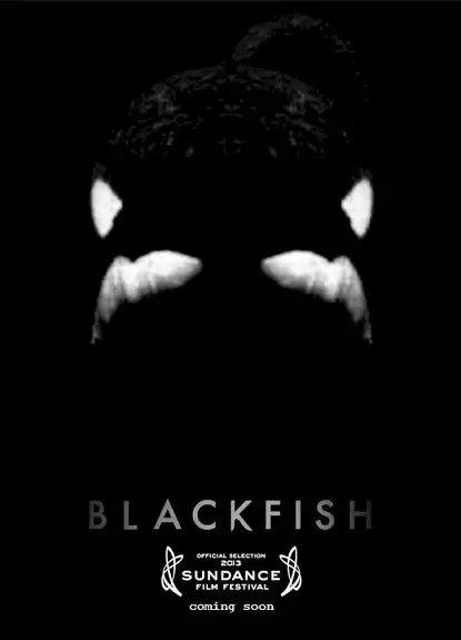 plakat filmu Blackfish