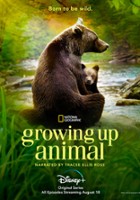 plakat - Dorastanie w świecie zwierząt (2021)