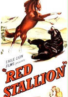 plakat filmu Czerwony rumak
