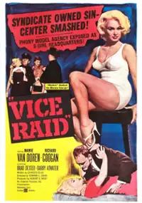 Plakat filmu Vice Raid