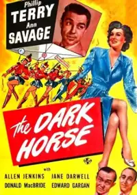 Plakat filmu The Dark Horse
