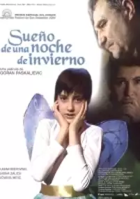 Plakat filmu Sen nocy zimowej
