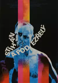 Plakat filmu Stíhán a podezřelý