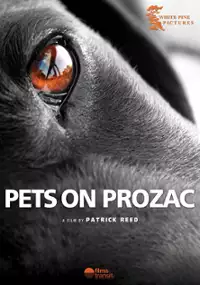 Plakat filmu Zwierzaki na prochach