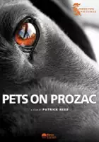 Patrick Reed / Zwierzaki na prochach