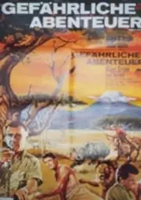 Plakat filmu Africa - Texas Style!
