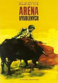 Plakat filmu El Pase&iacute;llo