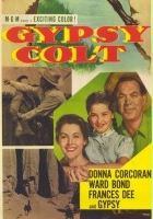 plakat filmu Gypsy Colt