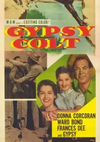 Plakat filmu Gypsy Colt